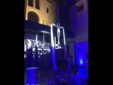 Aerial Show
