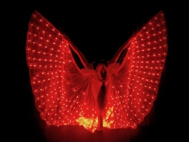 LED Light Wings
