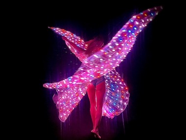 LED Light Wings