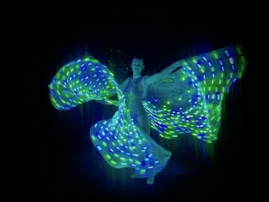 LED Light Wings