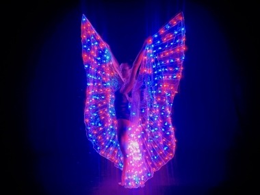 Light Wings
