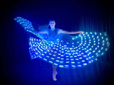 LED Light Wings