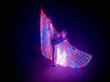 LED Light Wings