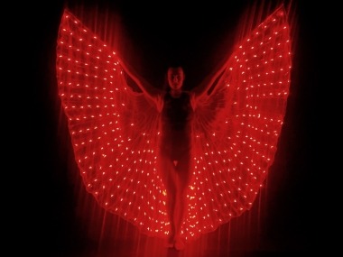 Light Wings