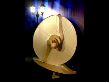 stretch costume