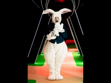white rabbit