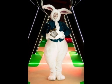 white rabbit